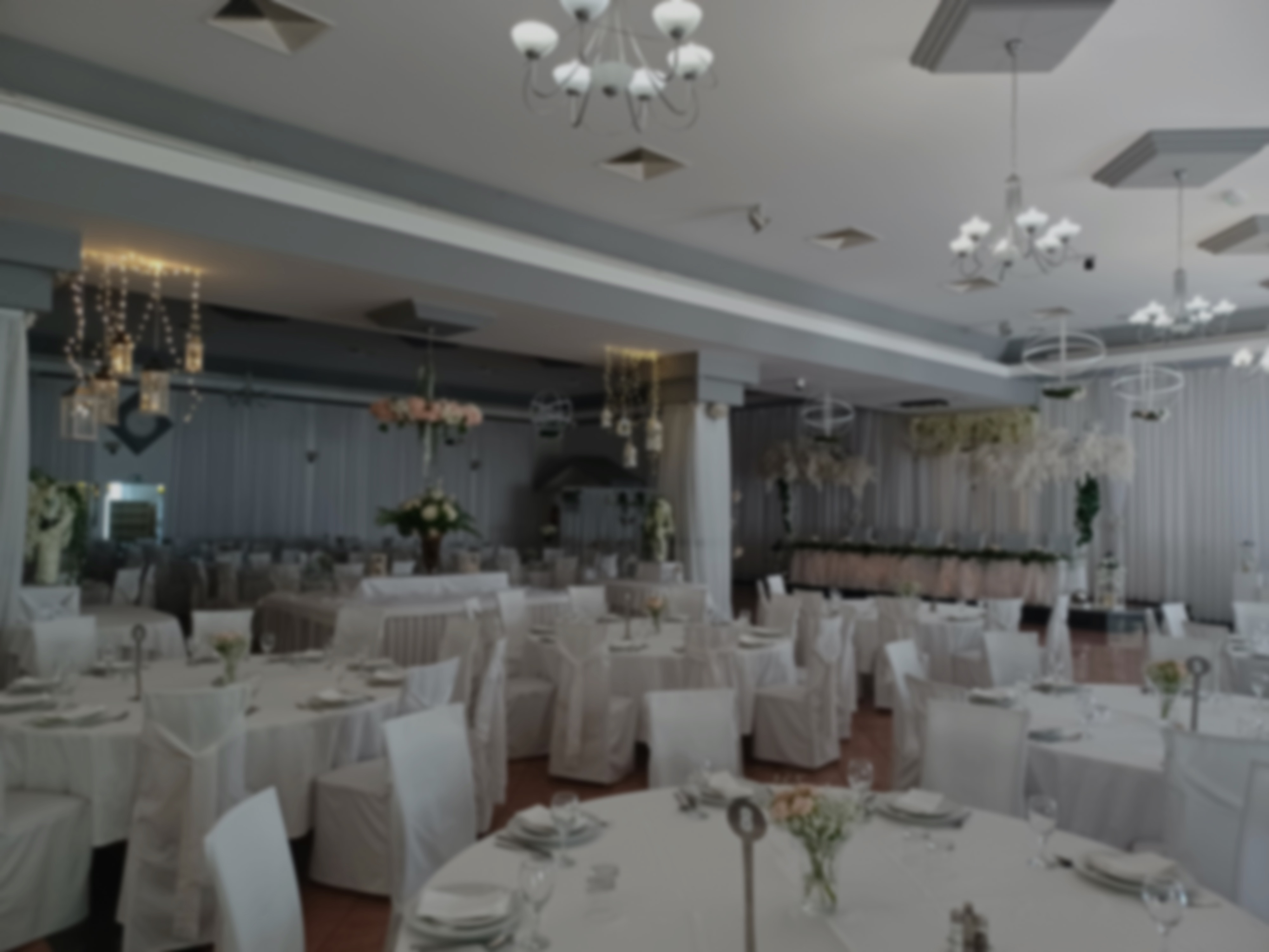 Lucija dvorana pozadinska slika